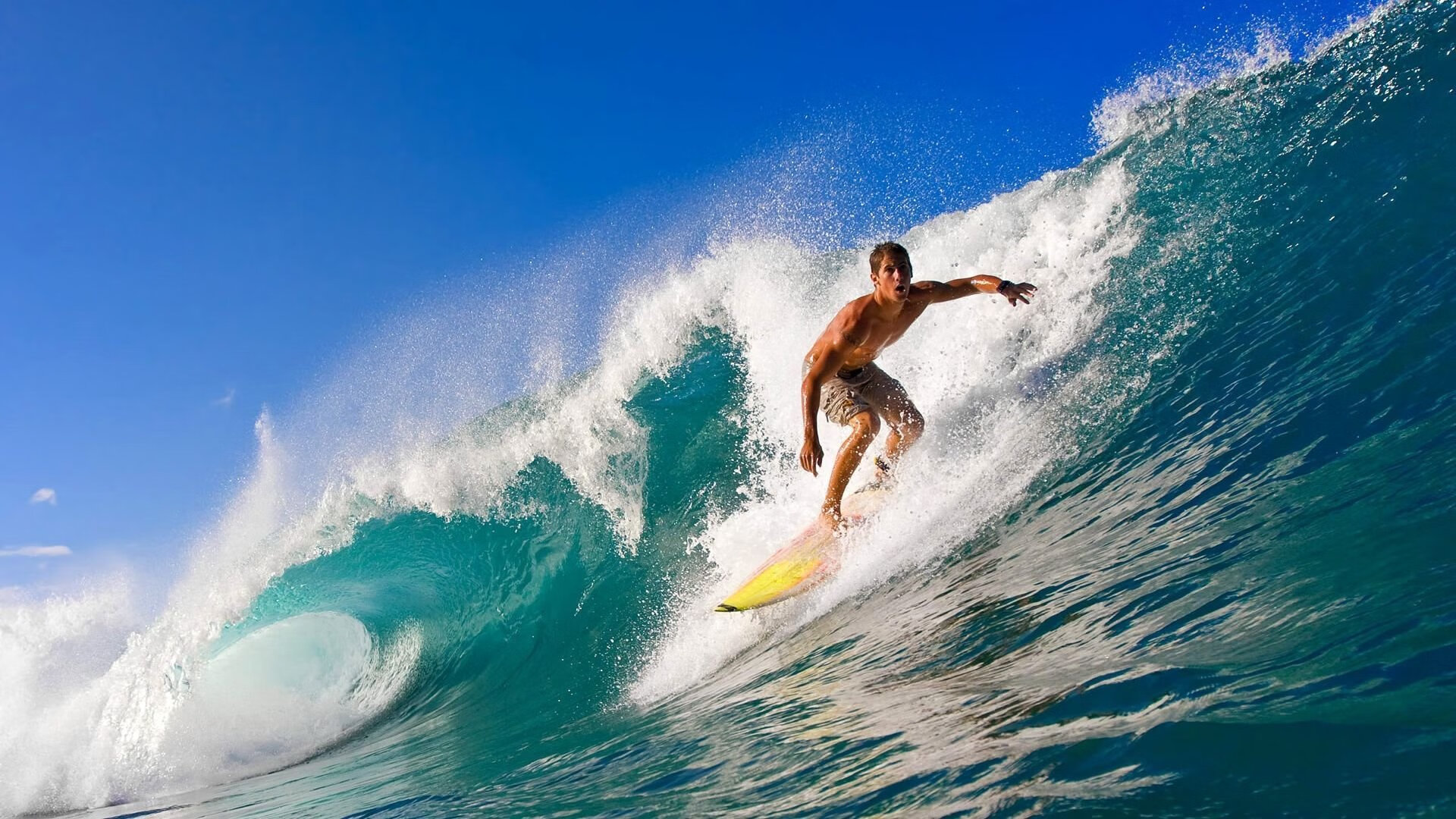 体育新闻中心国际赛事走向，国内体育新闻报道